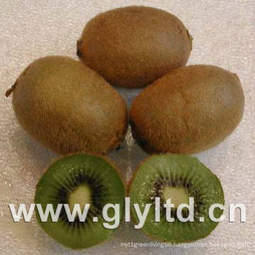 Export Quality Fresh Green Kiwi Fruit